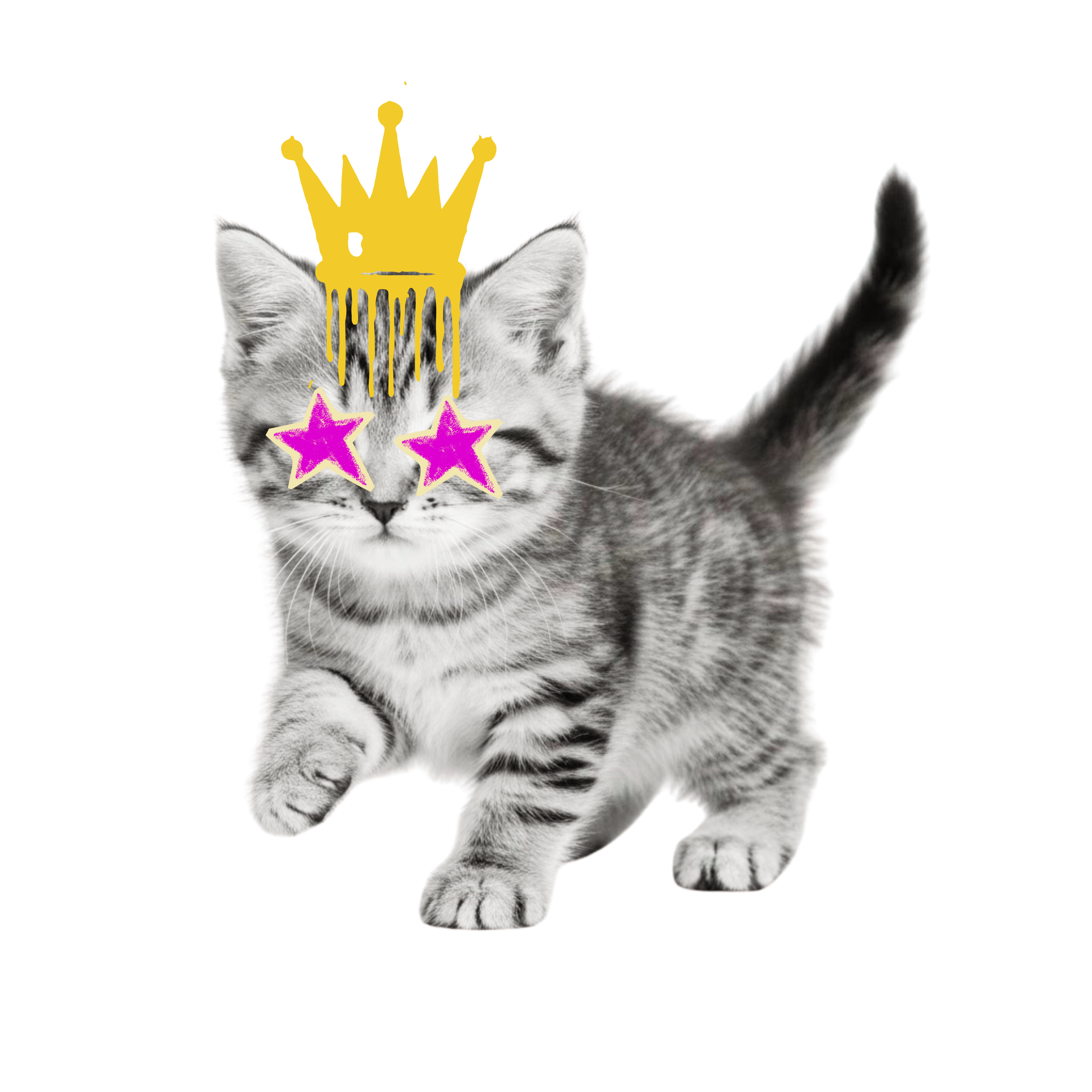Kitten with Crown and Star Sunglasses Tee | Cute Cat Graphic Shirt